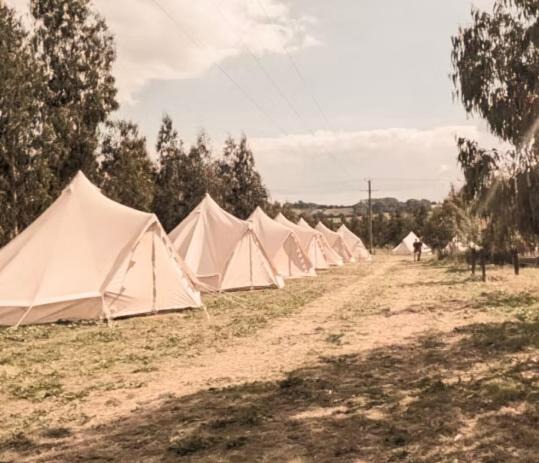 Photo of Others in Shepton Mallet