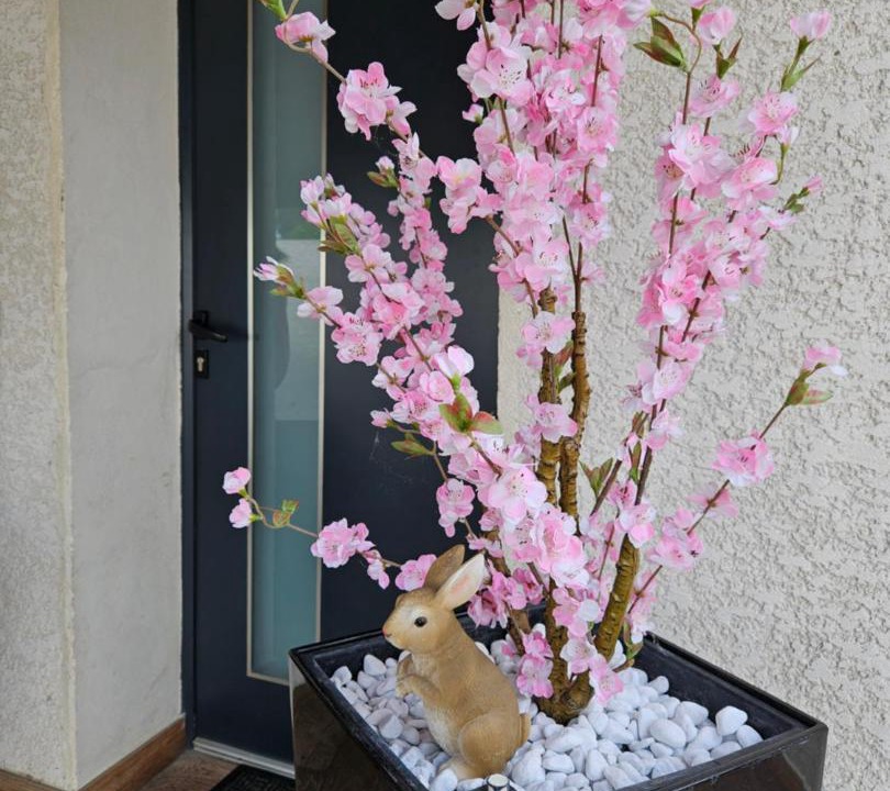 Photo of Others in Villemoustaussou