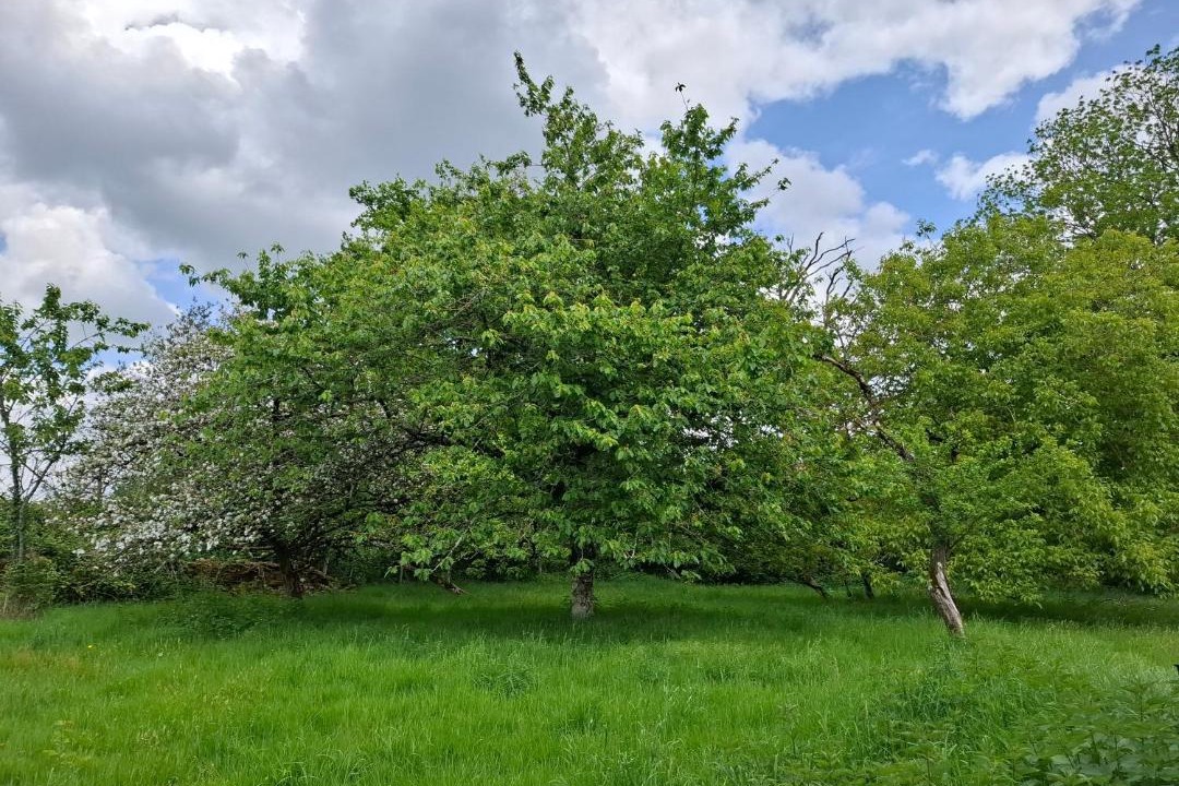 Photo of Others in Les Grands-Chezeaux