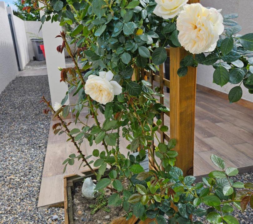 Photo of Others in Villemoustaussou