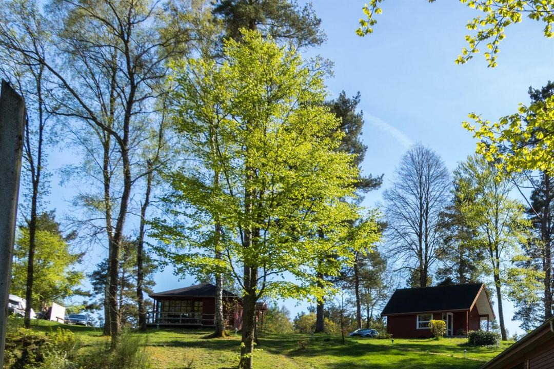 Photo of Others in Silkeborg