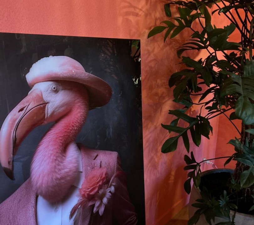 Photo of Others in Montbeliard