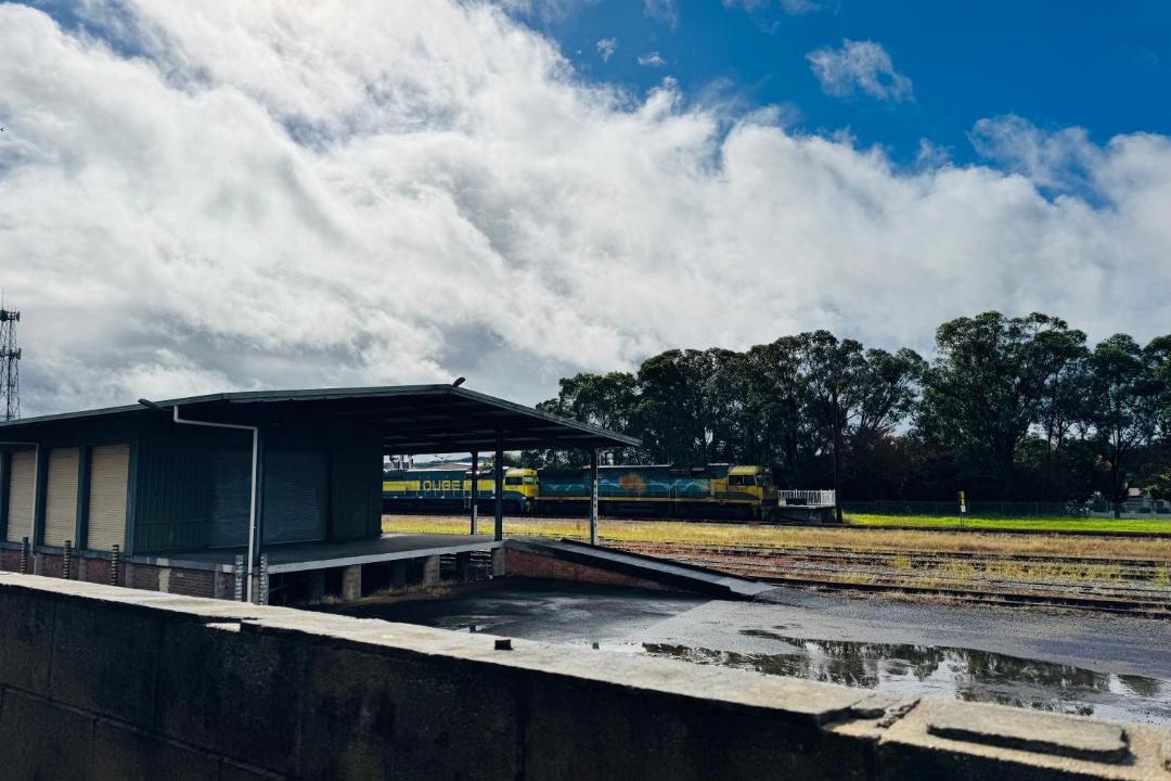 Photo of Others in Taree