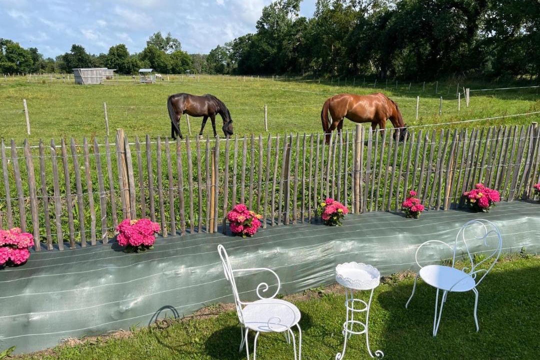 Photo of Others in Hauteville-sur-Mer