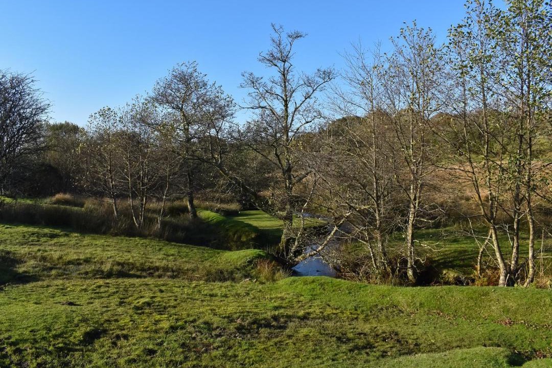 Photo of Others in Mary Tavy