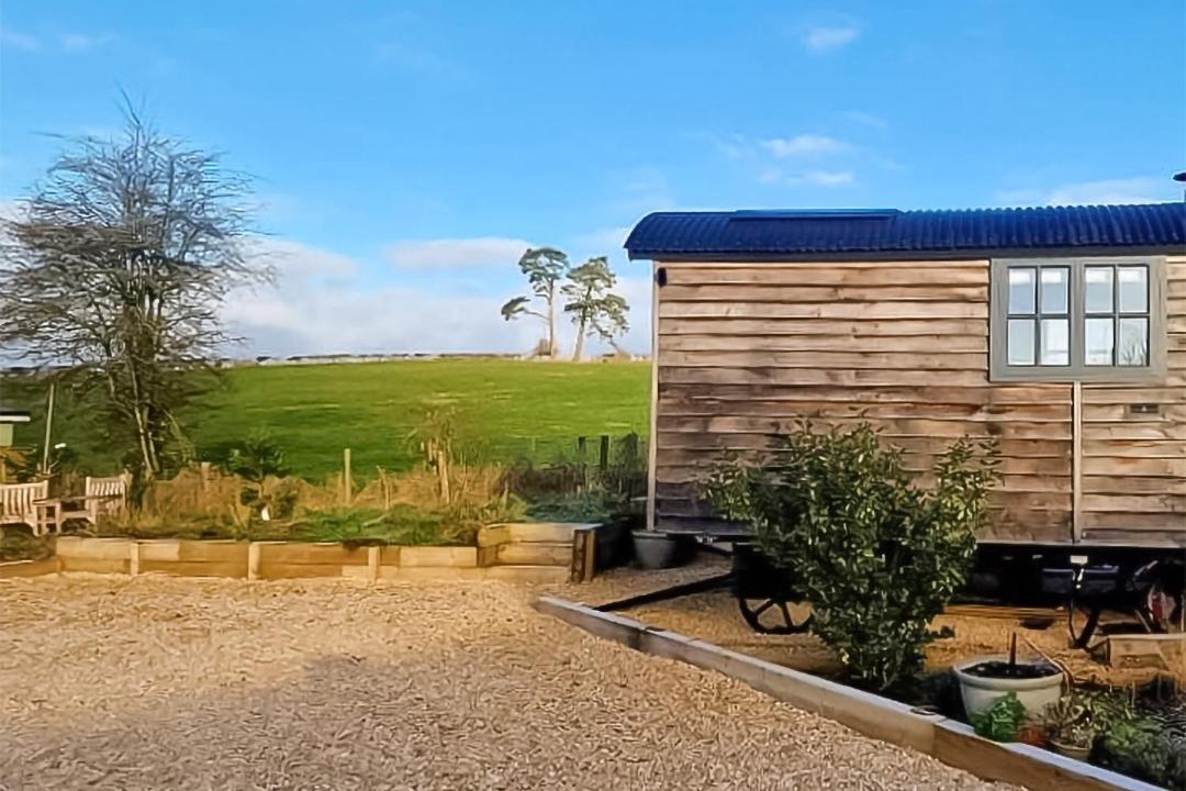 Photo of Others in Chute Forest