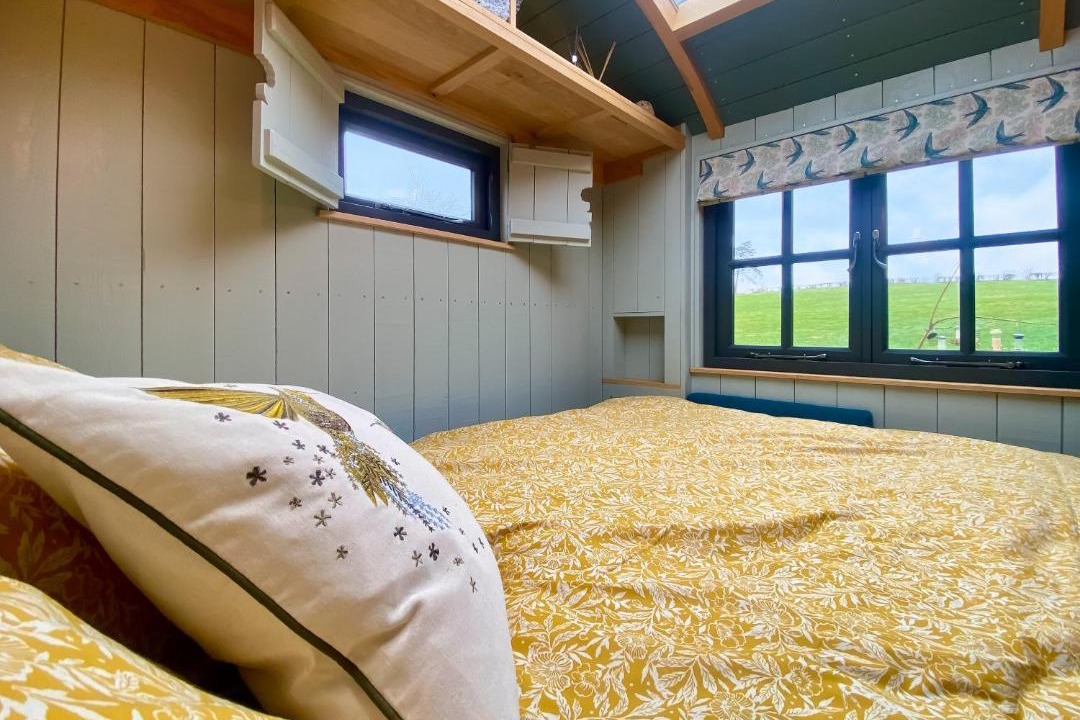 Photo of Others in Chute Forest