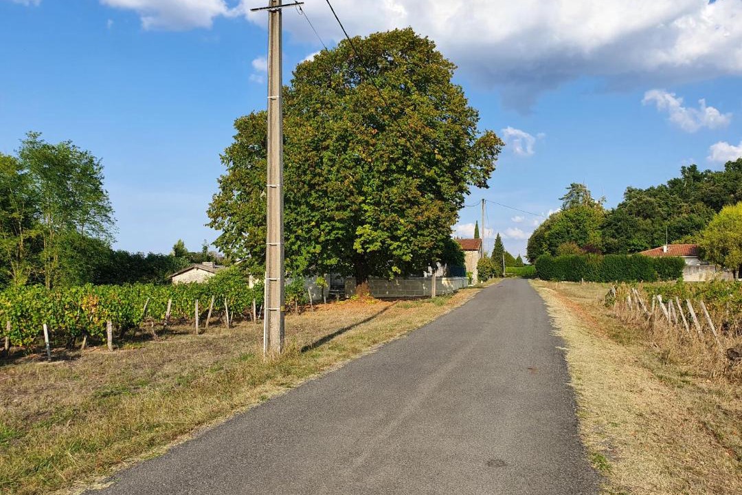 Photo of Others in Saint-Germain-de-la-Riviere