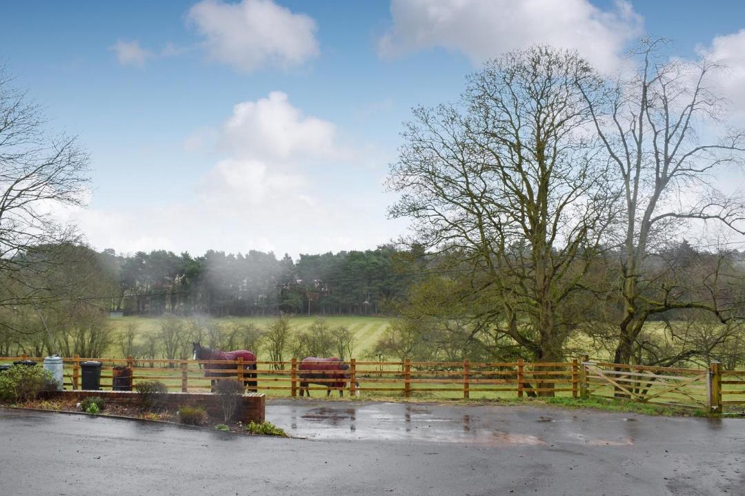 Photo of Others in Bewdley