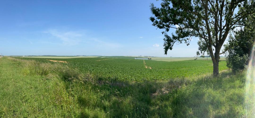 Photo of Others in Gouy