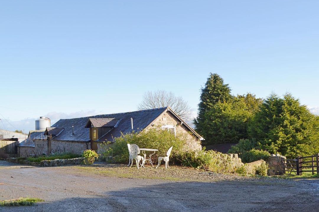 Photo of Others in Longford