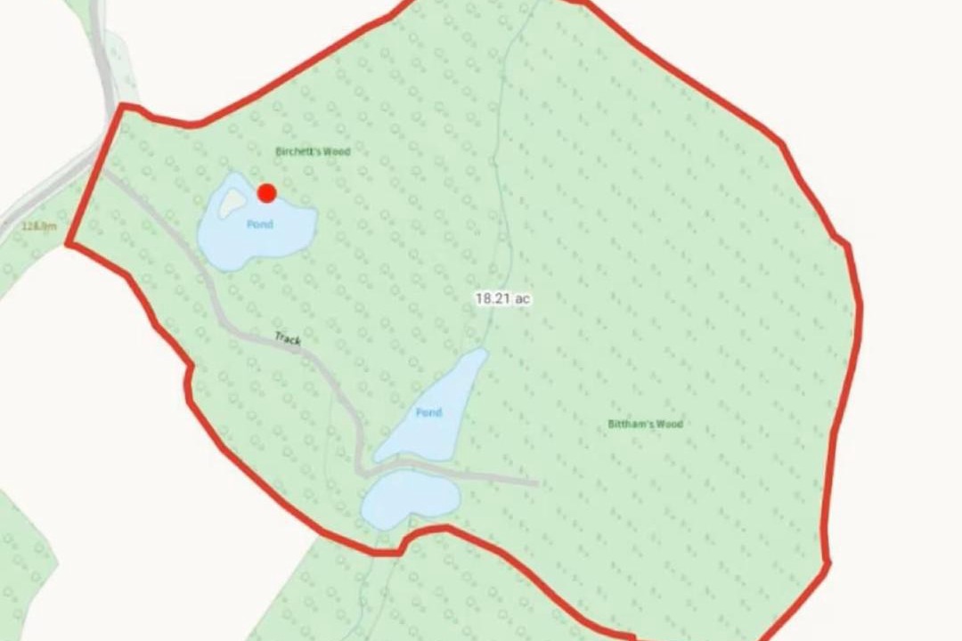 Photo of Others in Balcombe