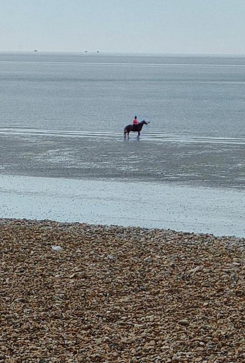 Photo of Human In Picture in Bognor Regis