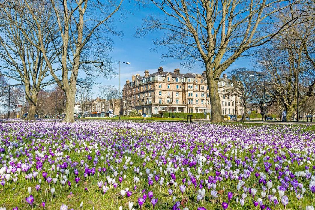 Photo of Others in Kirkby Malzeard