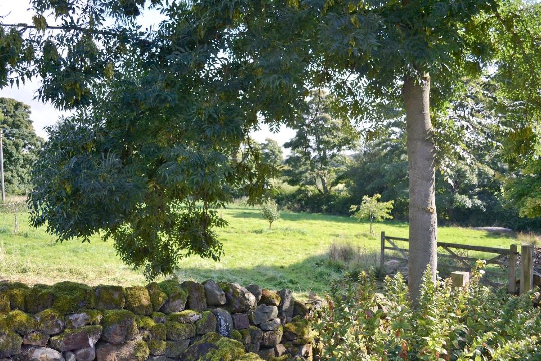 Photo of Others in Kirkby Malzeard