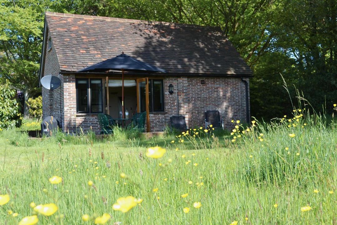 Photo of Others in Blackboys