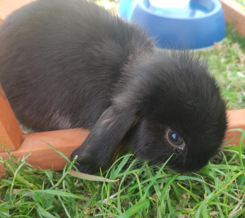 Photo of Outdoor in La Chapelle sur Vire