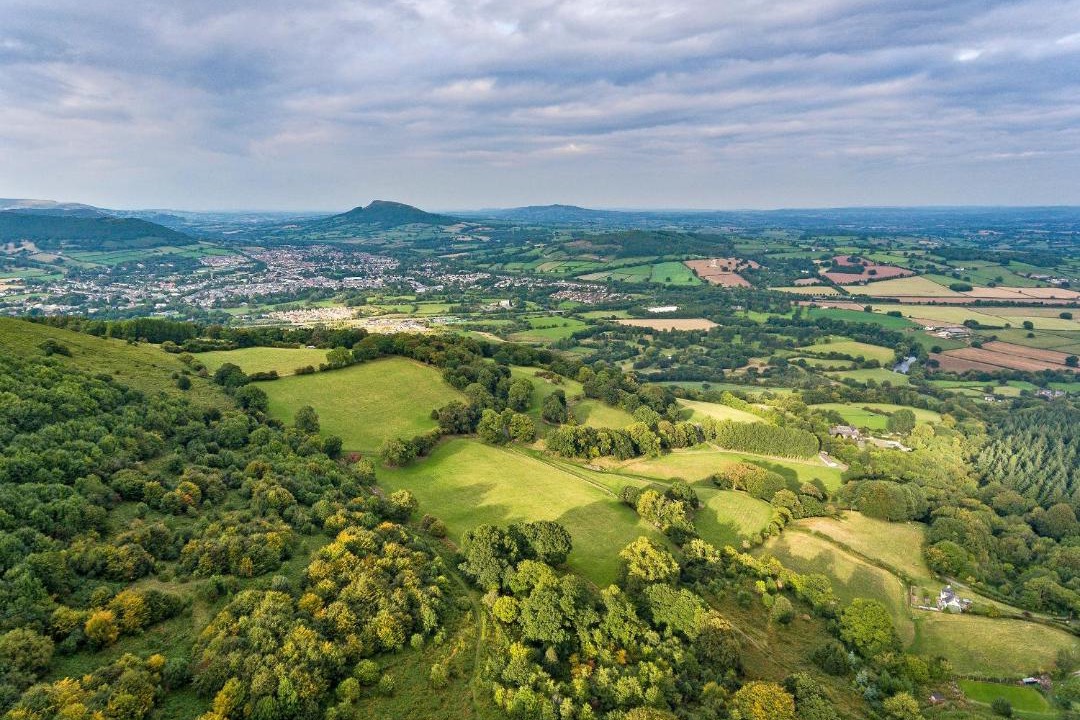 Photo of Others in Usk