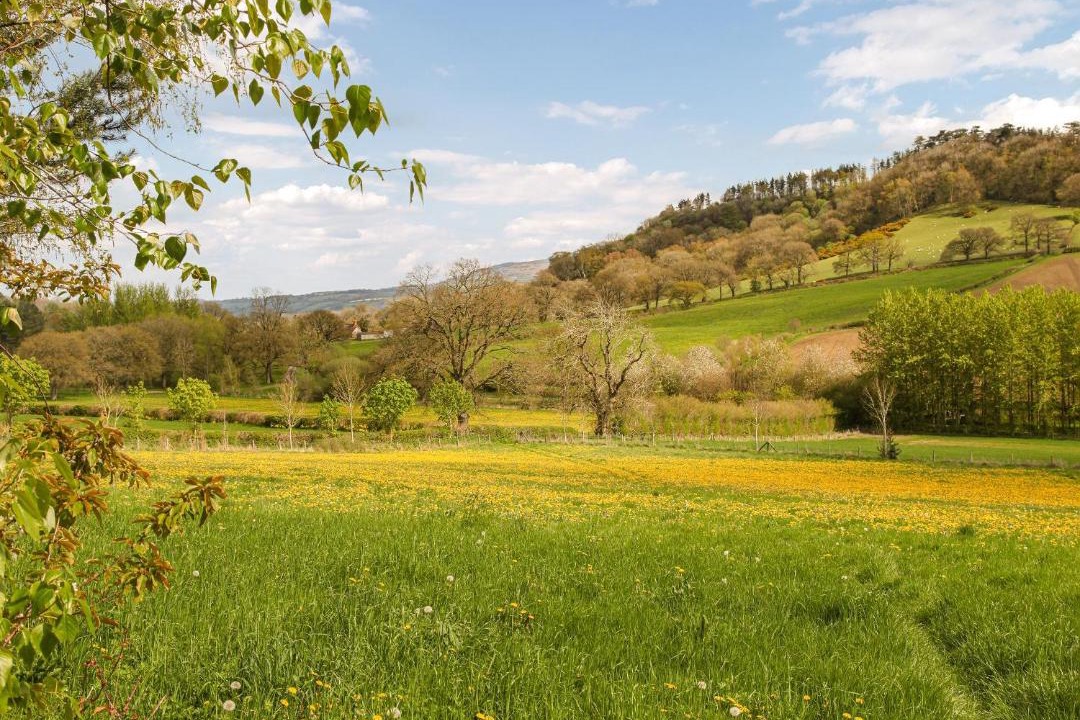 Photo of Others in Hope Bowdler