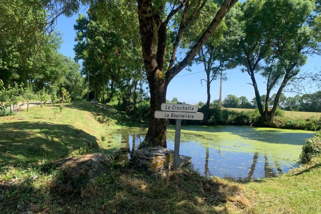 Photo of Others in Le Louroux-Beconnais