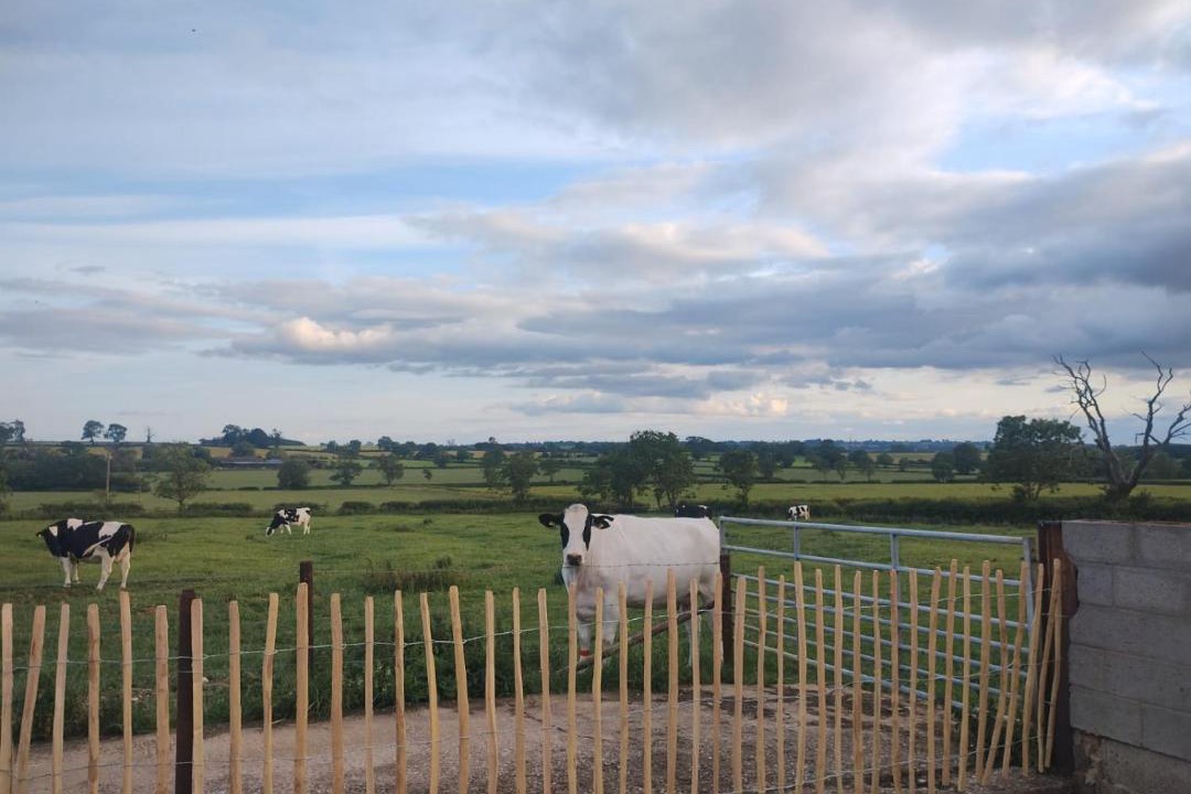 Photo of Others in Kelmarsh