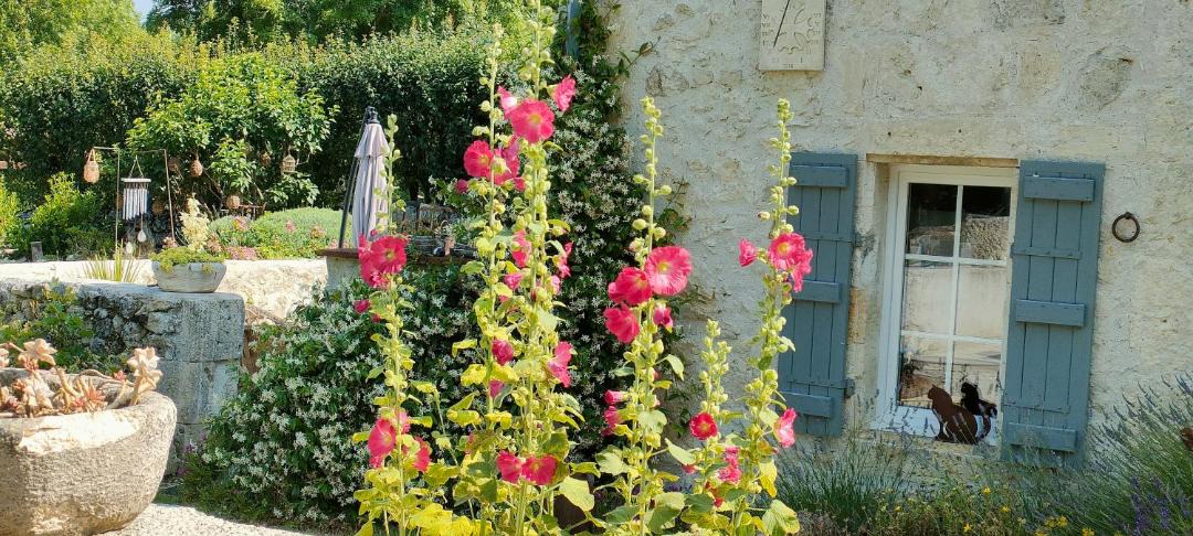 Photo of Others in Castera-Lectourois