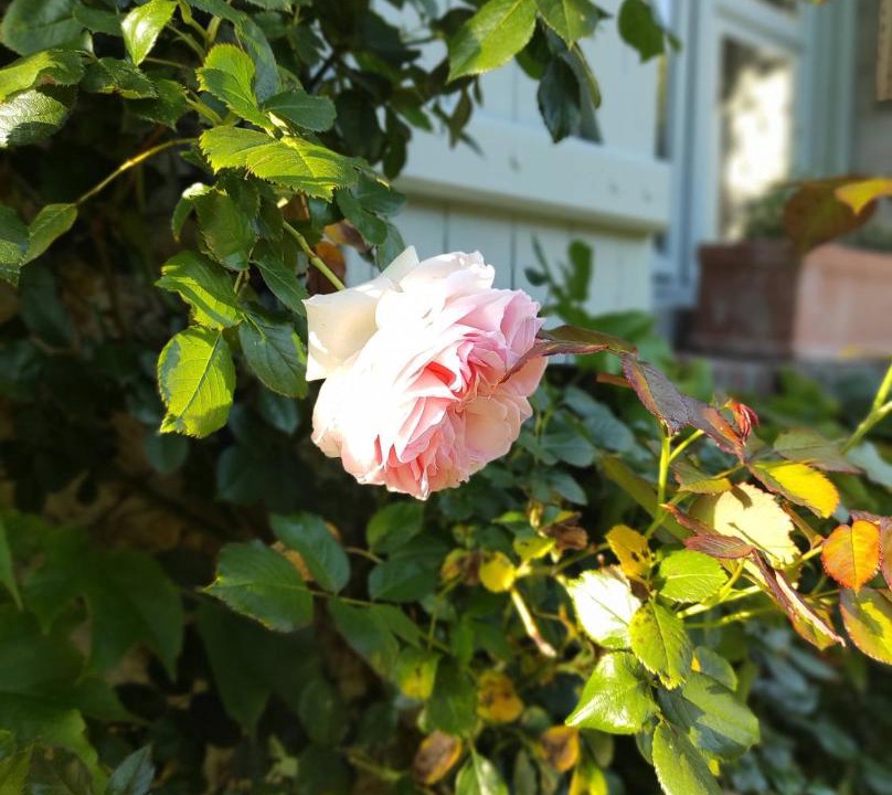 Photo of Outdoor in Prunay-en-Yvelines