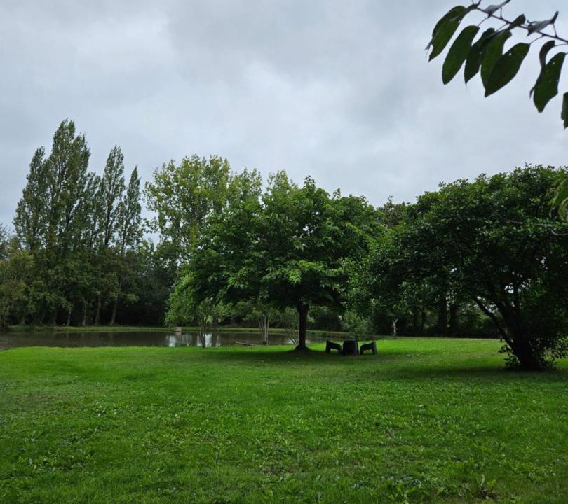 Photo of Others in Challans