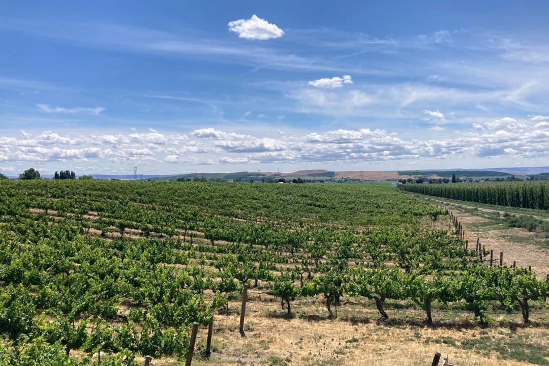 Photo of Others in Outlook