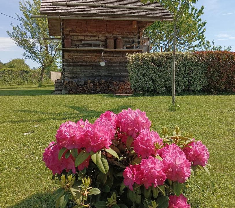Photo of Others in Saint-Victor-de-Cessieu