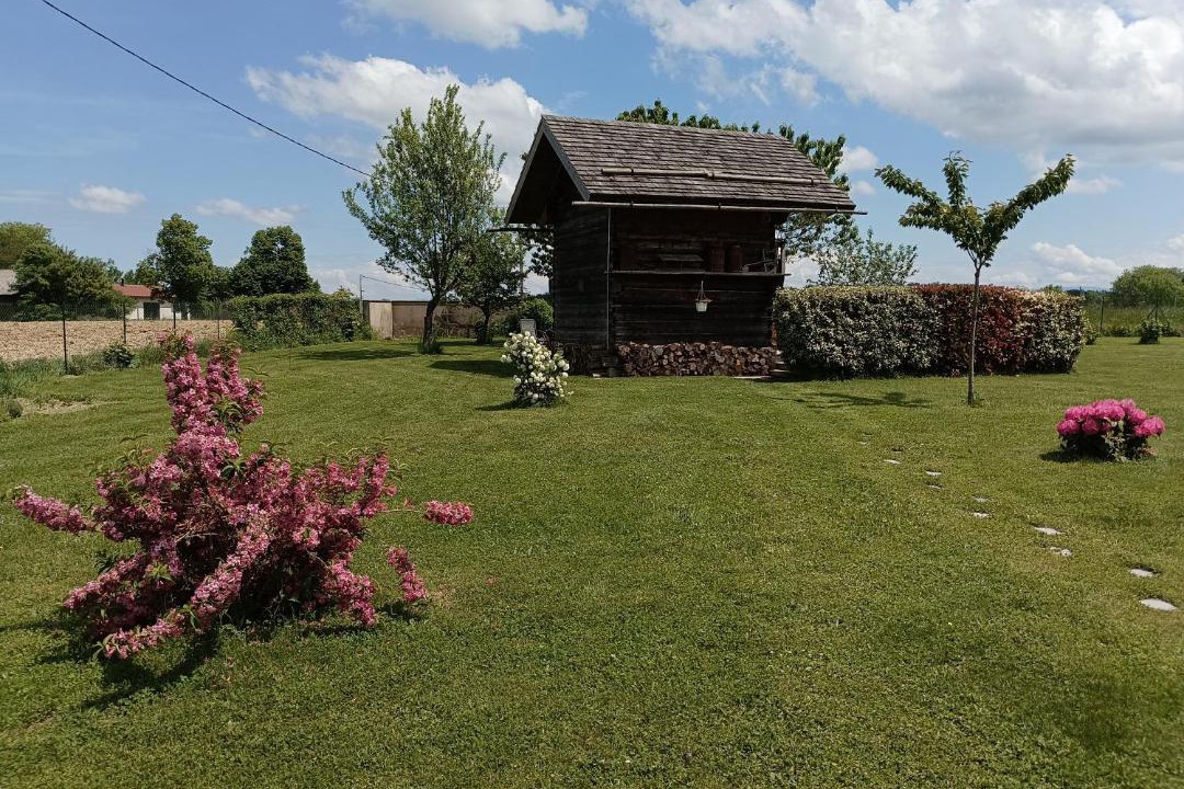 Photo of Others in Saint-Victor-de-Cessieu