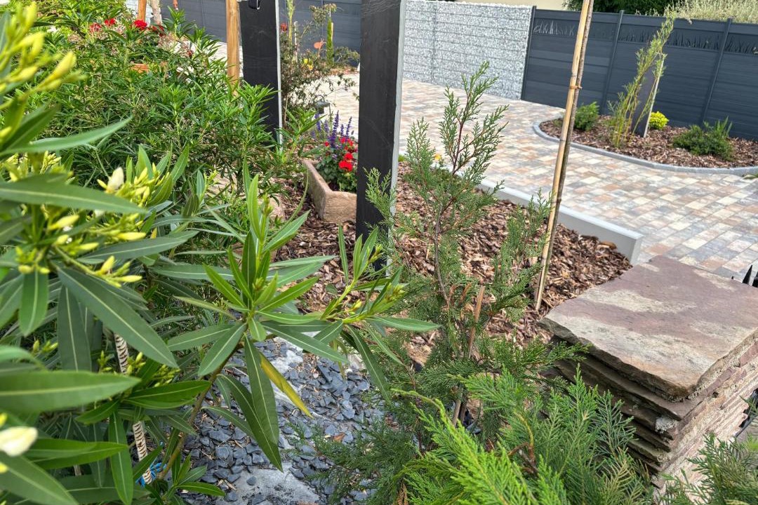 Photo of Others in Ottrott