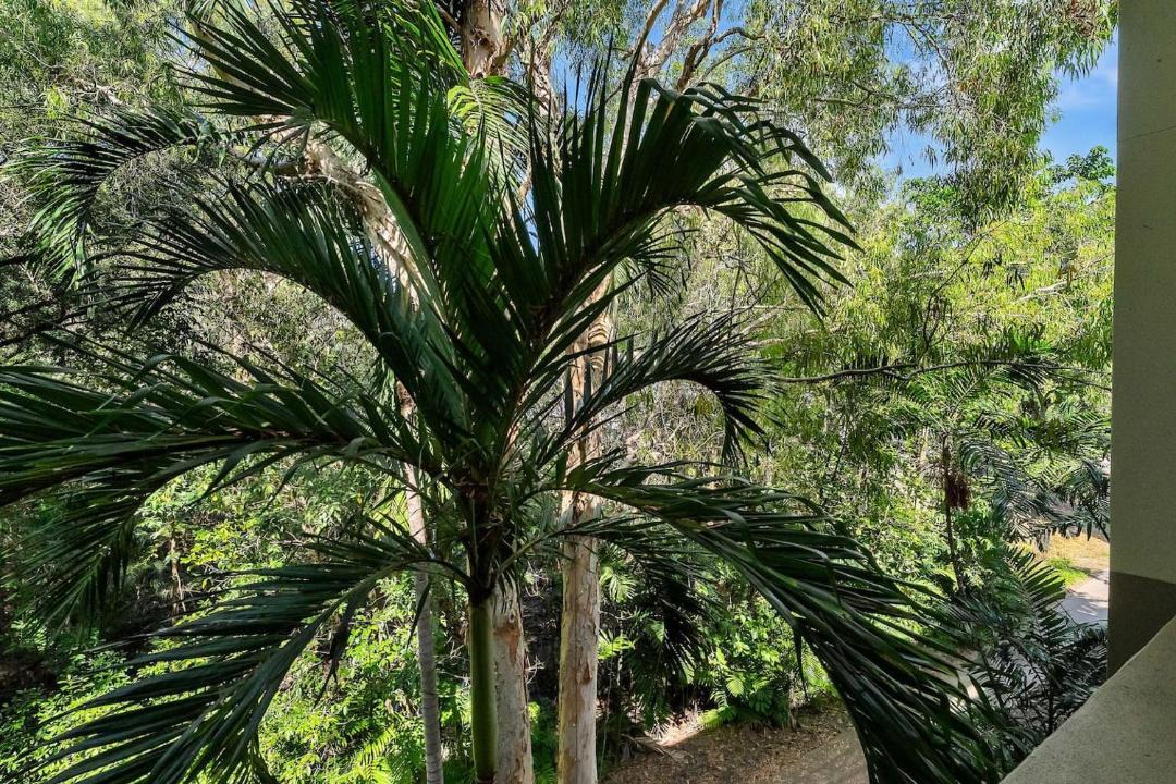 Photo of Others in Palm Cove