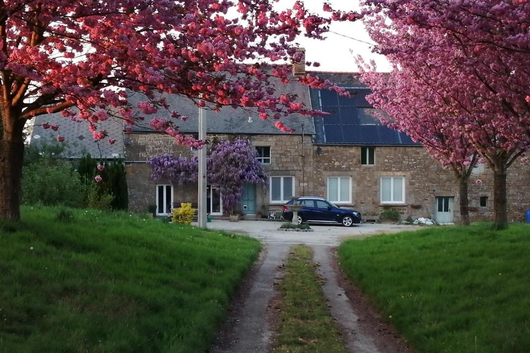 Photo of Others in Le Ferre