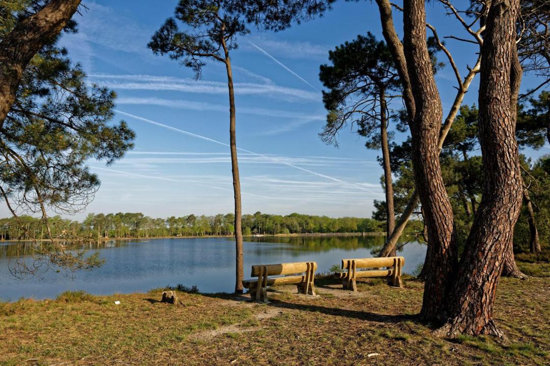 Photo of Others in Bellebouche