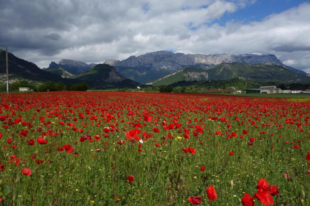 Photo of Others in Recoubeau-Jansac