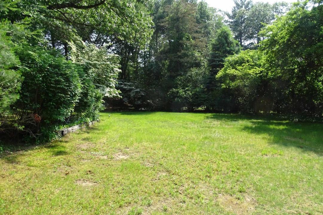 Photo of Others in Sudbury