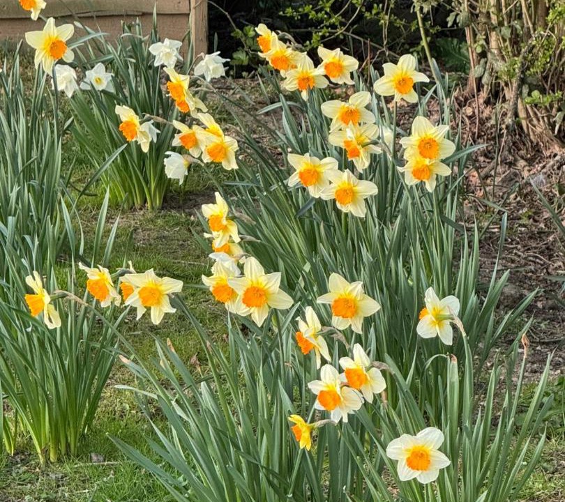 Photo of Outdoor in Ewhurst