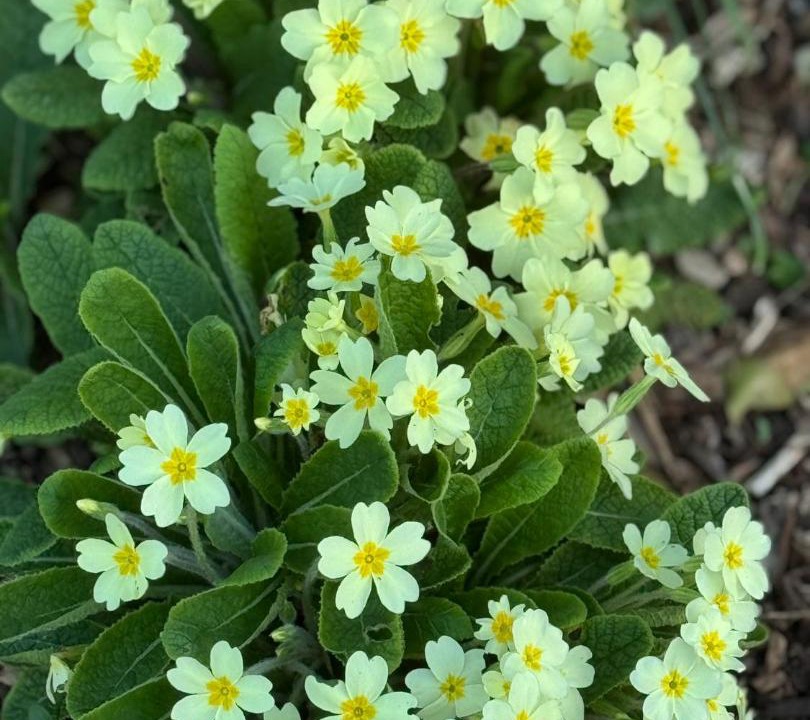 Photo of Outdoor in Ewhurst