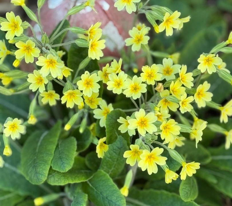 Photo of Outdoor in Ewhurst