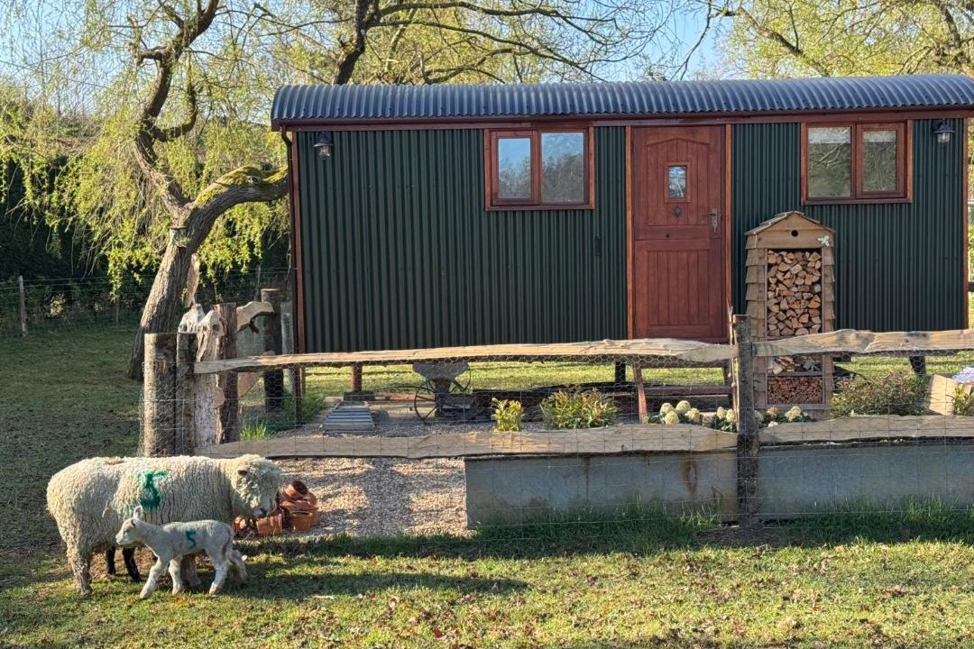 Photo of Others in Ewhurst