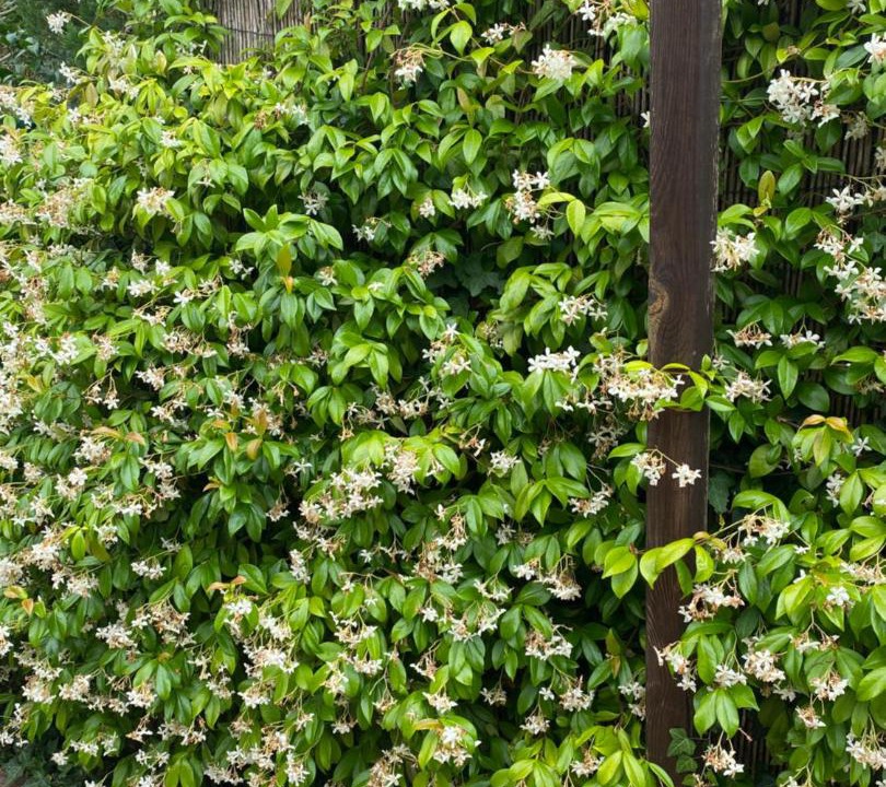 Photo of Outdoor in Buzet-sur-Tarn