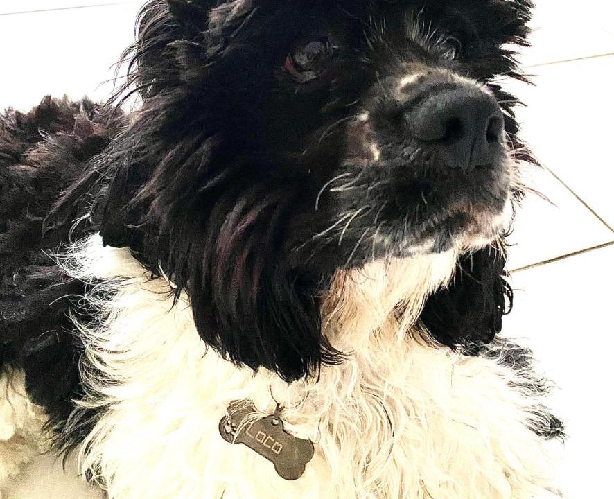 Photo of Others in Buzet-sur-Tarn