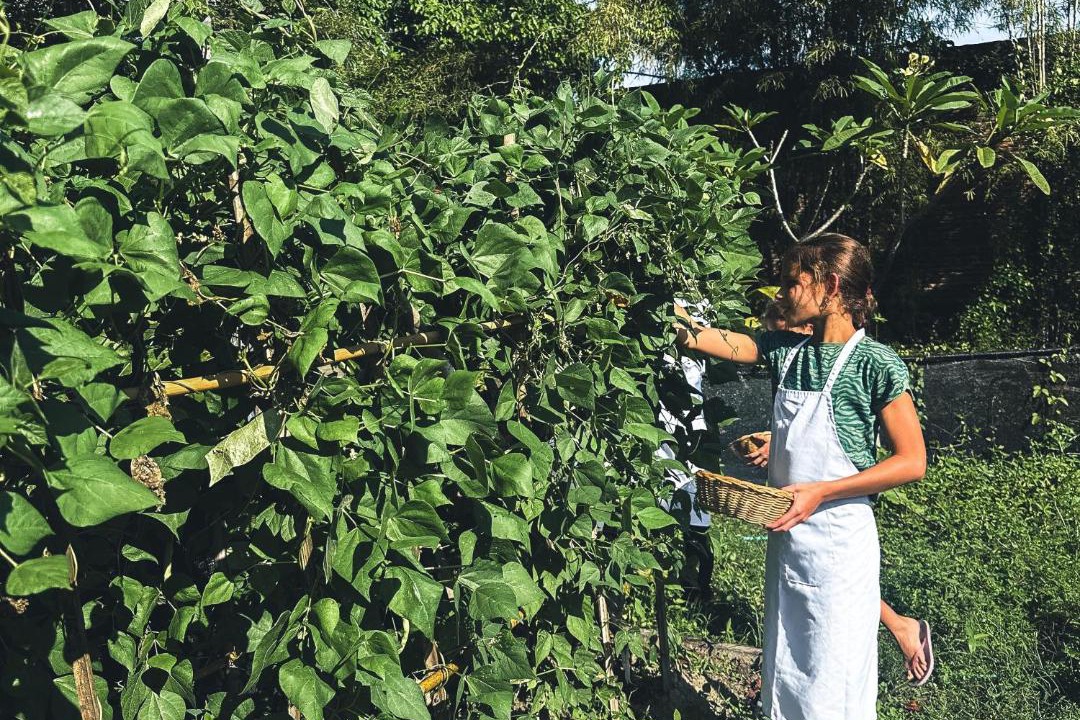 Photo of Others in Selong Belanak