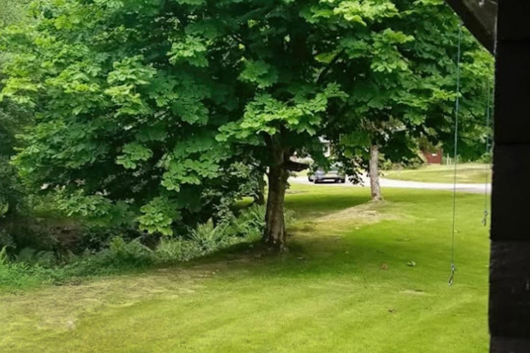 Photo of Others in Rashfield