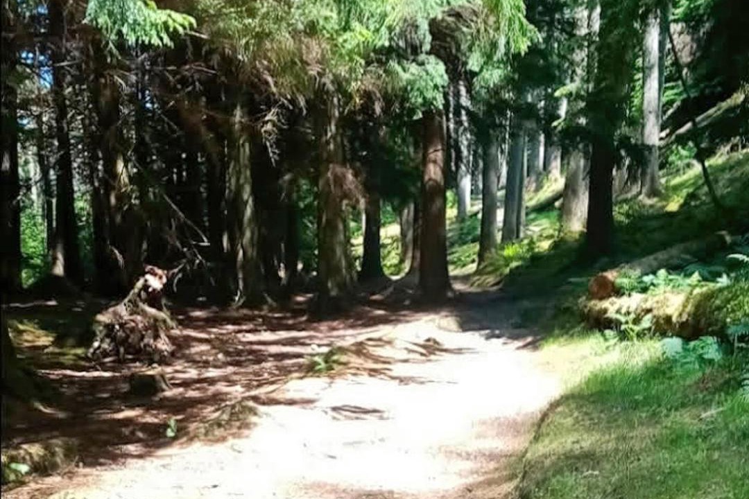 Photo of Others in Rashfield