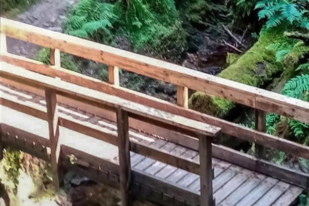 Photo of Others in Rashfield