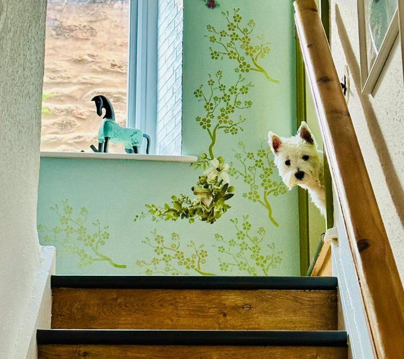 Photo of Others in Kirkby Stephen