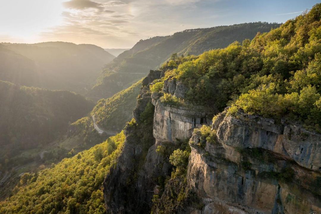 Photo of Others in Treves