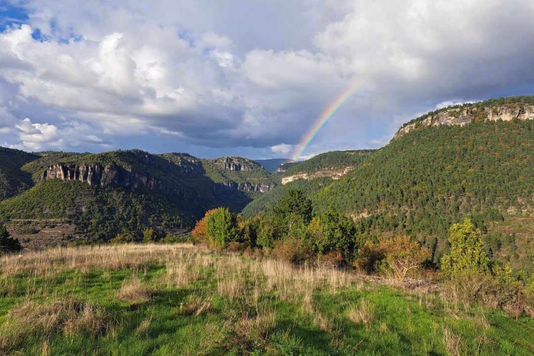 Photo of Others in Treves